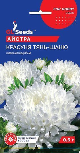 Айстра Красуня Тянь-Шаню 020211 фото