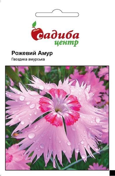 Гвоздика Рожевий амур 020440 фото