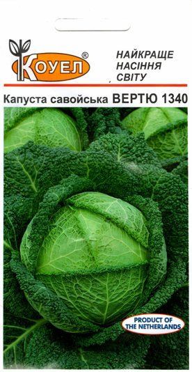 Капуста Вертю 1340 010249 фото