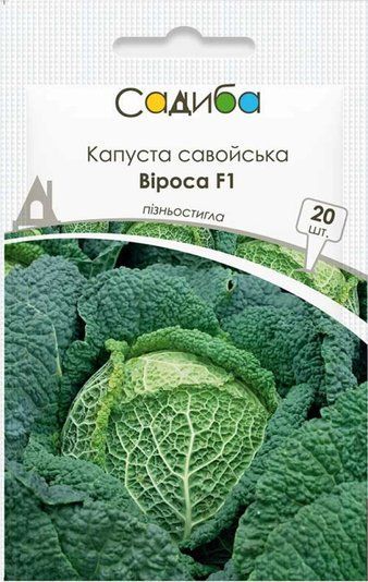 Капуста Віроса F1 010251 фото