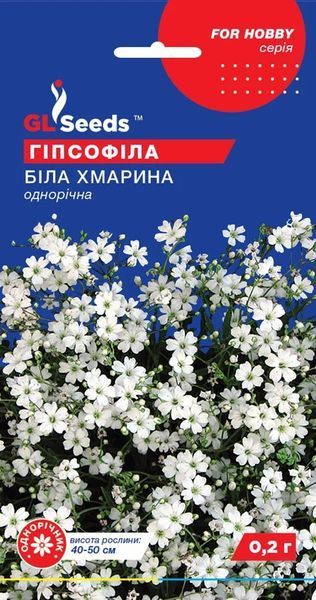 Гіпсофіла Біла хмарина 020508 фото