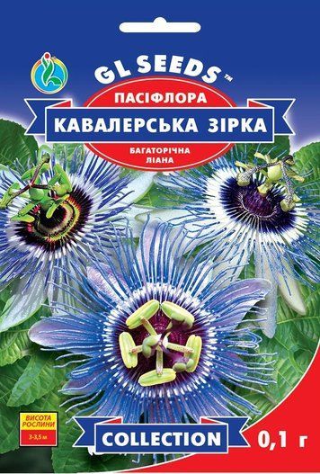 Пасіфлора Кавалерська зірка 020454 фото